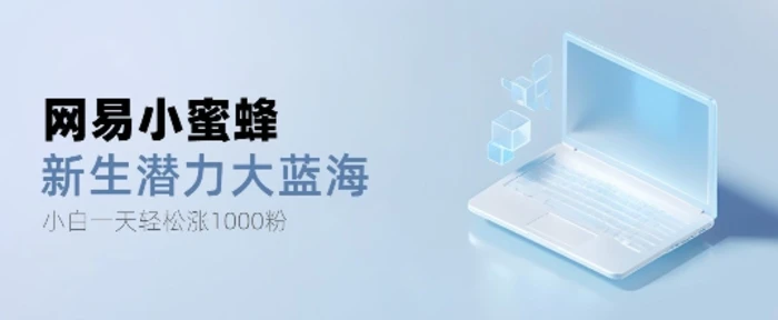网易小蜜蜂，最新大蓝海项目，单日轻松日涨千粉| 网创圈