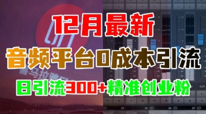 12月最新：音频平台0成本引流，日引流300+精准创业粉| 网创圈