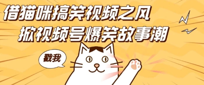 借猫咪搞笑视频之风，掀视频号爆笑故事潮，轻松日入四位数，无门槛快速入门!| 网创圈