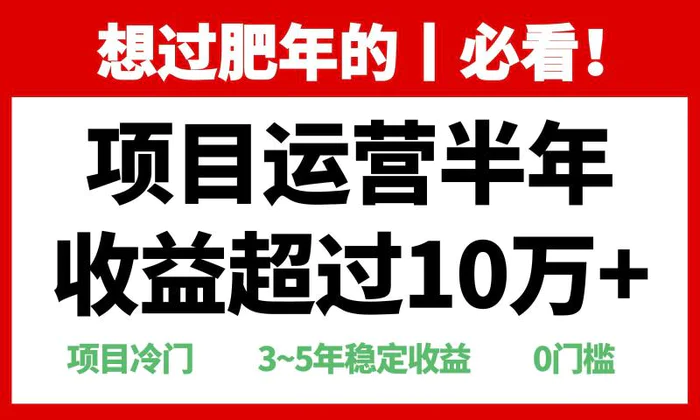 （13663期）年前过肥年的必看的超冷门项目，半年收益超过10万+，| 网创圈