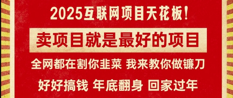 卖项目就是最好的项目，2025年互联网项目天花板| 网创圈