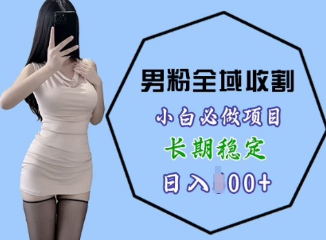 男粉项目全域收割，小白必做项目，长期稳定，稳定日入几张| 网创圈