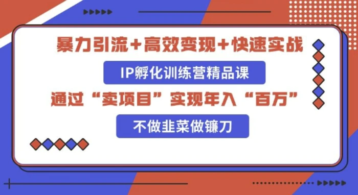 知识付费独家玩法：精准引流+高效变现，简单复制成功模式，最新IP共创导师训练营玩法| 网创圈