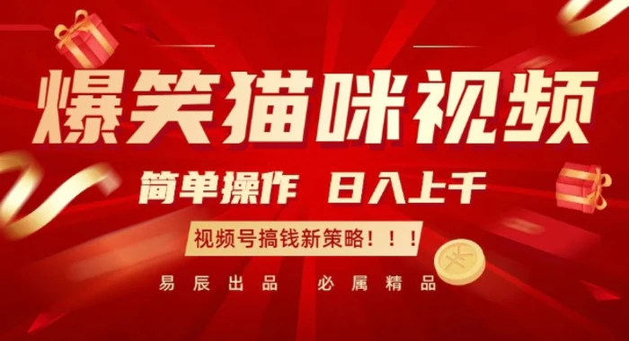 爆笑猫咪视频：简单操作，日入过K，视频号搞钱新策略| 网创圈