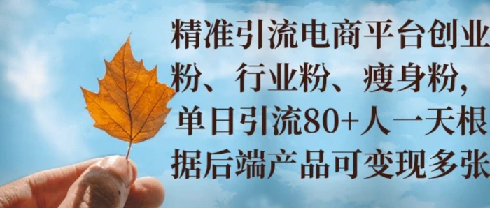 小投资撬动大收益，精准引流创业粉、行业粉，单日引流80+，一天可变现多张| 网创圈