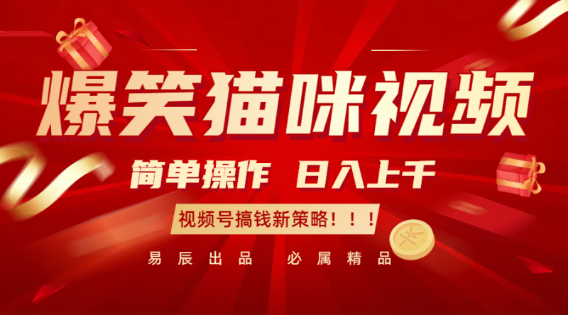爆笑猫咪视频：简单操作，日入过千，视频号搞钱新策略！| 网创圈