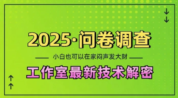 2025问卷调查最新工作室技术解密：一个人在家也可以闷声发大财，小白一天2张，可矩阵放大| 网创圈