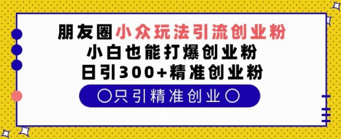 朋友圈小众玩法引流创业粉，小白也能打爆创业粉，日引300+精准创业粉| 网创圈