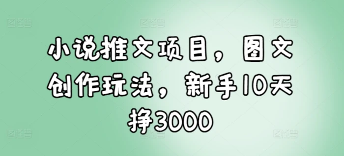小说推文项目，图文创作玩法，新手10天挣3000| 网创圈