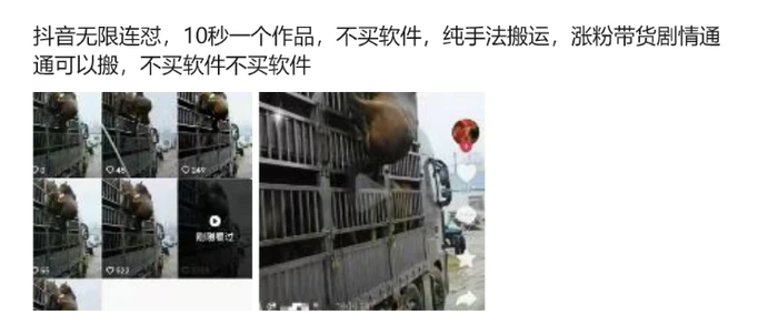 图片[2]| 抖音无限连怼，10秒一个作品不买软件，纯手法搬运，涨粉带货剧情通通可以搬| 网创圈