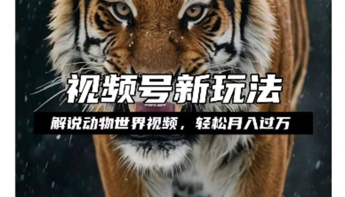 利用动物世界解说视频，赚分成计划收益，轻松月入过W，操作简单| 网创圈