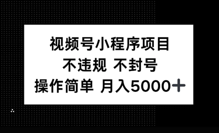 视频号小程序项目，不违规不封号，操作简单 月入5000+| 网创圈