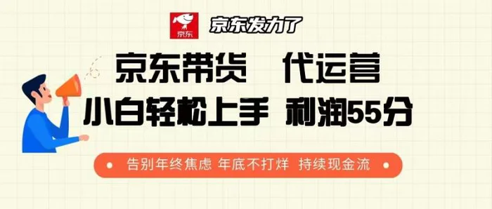 （13833期）京东带货 代运营 利润55分 告别年终焦虑 年底不打烊 持续现金流| 网创圈