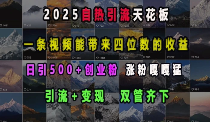 2025自热引流天花板，一条视频能带来四位数的收益，引流+变现双管齐下，日引500+创业粉，涨粉嘎嘎猛| 网创圈