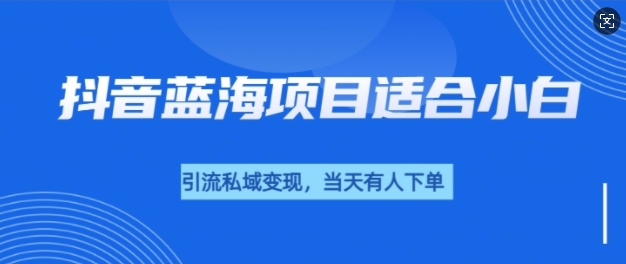 抖音蓝海小赛道私域变现项目，单价9.9单天变现100+，实操玩法分享给你| 网创圈