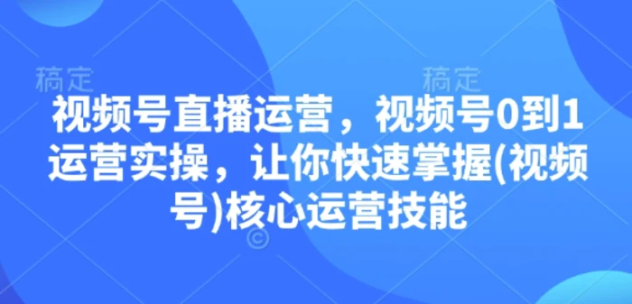 视频号直播运营，视频号0到1运营实操，让你快速掌握(视频号)核心运营技能| 网创圈
