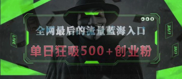 全网最后的流量蓝海入口，半小时引流50+创业粉，单日狂吸500+创业粉| 网创圈