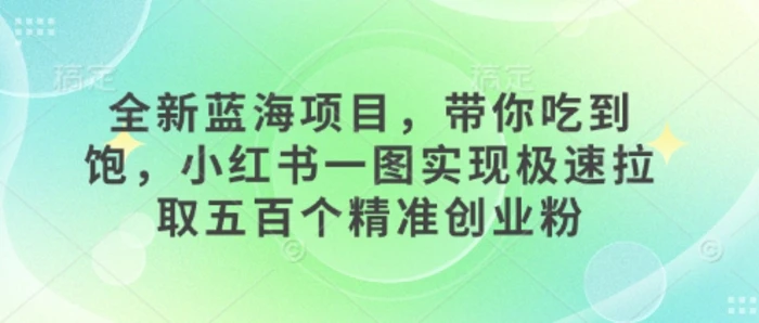 全新蓝海项目，带你吃到饱，小红书一图实现极速拉取五百个精准创业粉| 网创圈