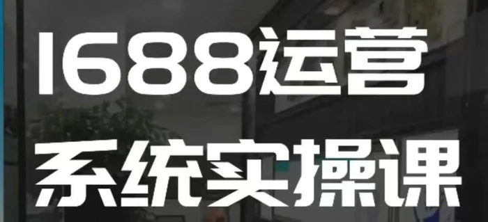 1688高阶运营系统实操课，快速掌握1688店铺运营的核心玩法| 网创圈