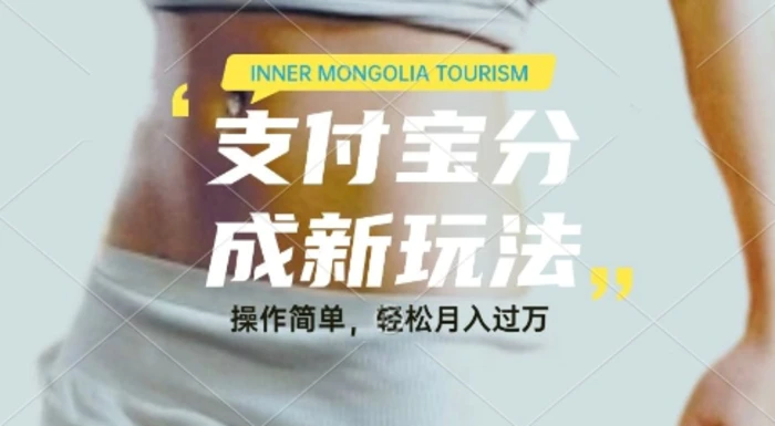 利用音乐综艺解说视频，挣支付宝分成收益，每天1-2小时，月入过W| 网创圈