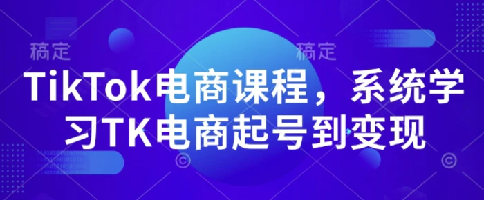 TikTok电商课程，​系统学习TK电商起号到变现| 网创圈