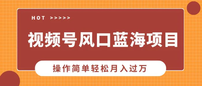 （13945期）视频号风口蓝海项目，中老年人的流量密码，操作简单轻松月入过万| 网创圈