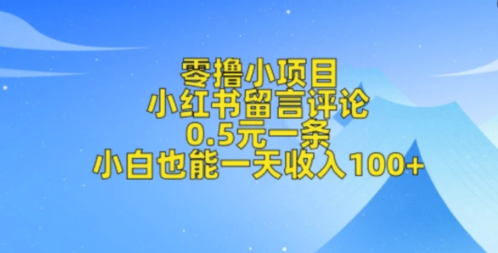 零撸小项目，小红书留言评论，0.5元一条，小白也能一天收入100+| 网创圈