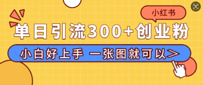 小红书单日引流300+创业粉，“简单粗暴”引流法，小白好上手，私信回不完| 网创圈