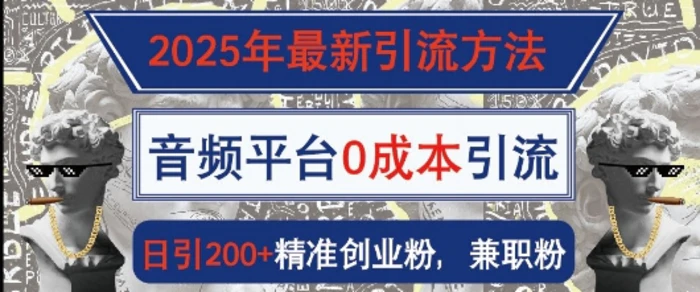 2025年最新引流方法，音频平台0成本引流，日引200+精准创业粉| 网创圈