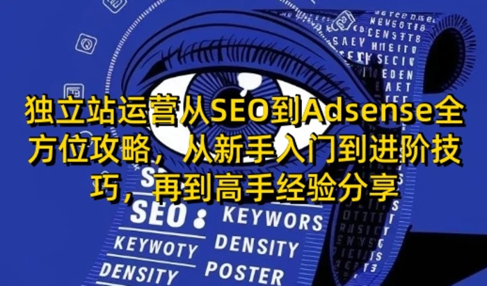 独立站运营从SEO到Adsense全方位攻略，从新手入门到进阶技巧，再到高手经验分享| 网创圈