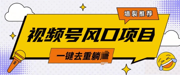 视频号风口蓝海项目，中老年人的流量密码，简单无脑，一键去重，轻松月入过W| 网创圈