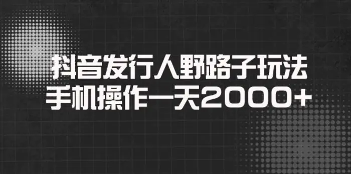 （14068期）抖音发行人野路子玩法，手机操作一天2000+| 网创圈