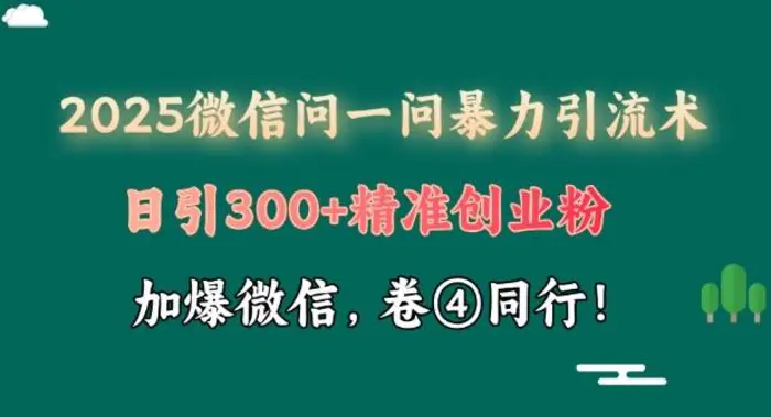 2025最新微信问一问暴力引流术揭秘，日引300+创业粉，单日变现四位数| 网创圈