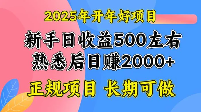 （14076期）2025开年好项目，单号日收益2000左右| 网创圈