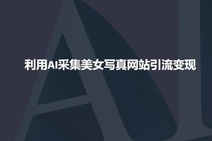 利用AI采集美女写真网站引流变现，引流嘎嘎的| 网创圈