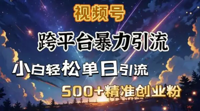 跨平台暴力引流，私域完美闭环，日引500+精准创业粉| 网创圈