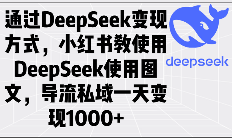 （14179期）通过DeepSeek变现方式，小红书教使用DeepSeek图文，导流私域一天变现1000+| 网创圈