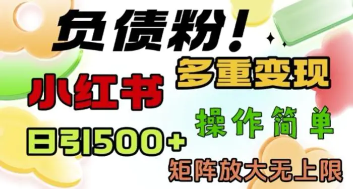 2月最新小红书日引500+负债粉，多重变现轻松过W，矩阵放大无上限| 网创圈