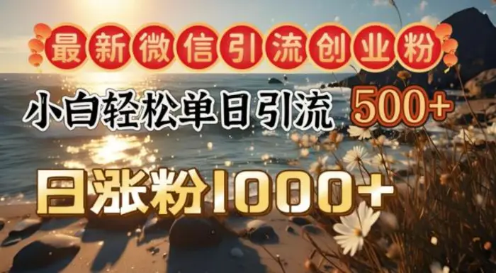 最新微信引流创业粉，小白单日轻松引流500+，日涨粉1000+| 网创圈