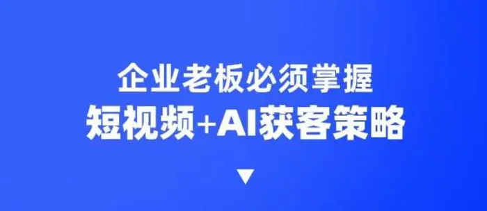 企业短视频AI获客霸屏流量课，6步短视频+AI突围法，3大霸屏抢客策略| 网创圈