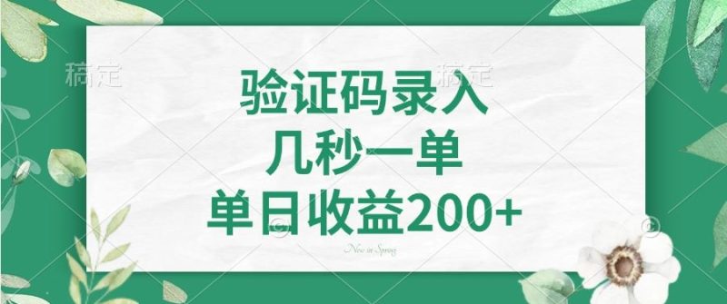 （14221期）验证码录入，几秒一单，单日收益200+| 网创圈