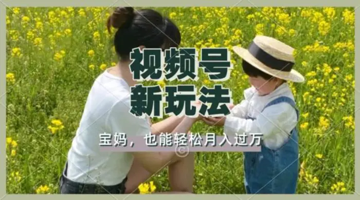 利用车祸意外视频，撸视频号分成收益，轻松月入过W，操作简单，适合宝妈，上班族| 网创圈