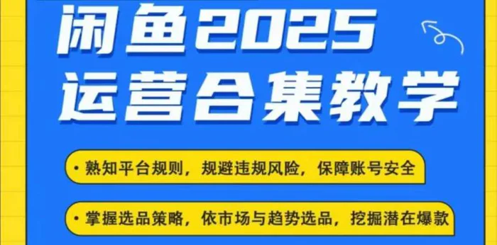 2025闲鱼电商运营全集，2025最新咸鱼玩法| 网创圈
