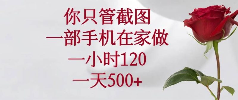 （14248期）你只管截图，一部手机在家做，一小时120，一天500+| 网创圈