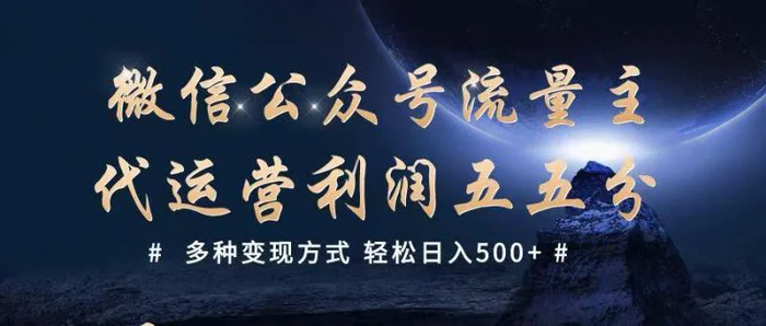 公众号流量主代运营  多种变现方式 轻松日入500+| 网创圈