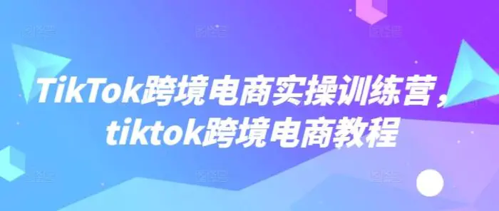 TikTok跨境电商实操训练营，tiktok跨境电商教程| 网创圈