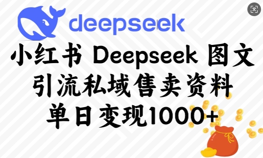 小红书Deepseek图文引流私域售卖资料，单日变现多张| 网创圈