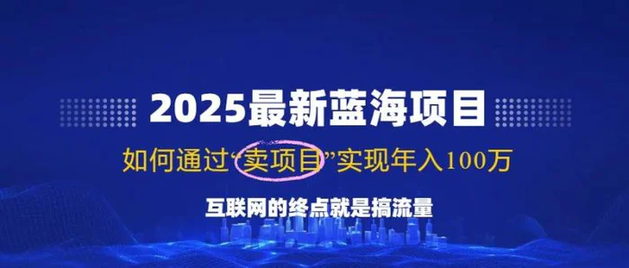 （14305期）2025最新蓝海项目，零门槛轻松复制，月入10万+，新手也能操作！| 网创圈