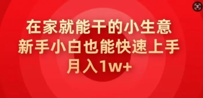 在家就能干的小生意，新手小白也能快速上手，月入1w| 网创圈
