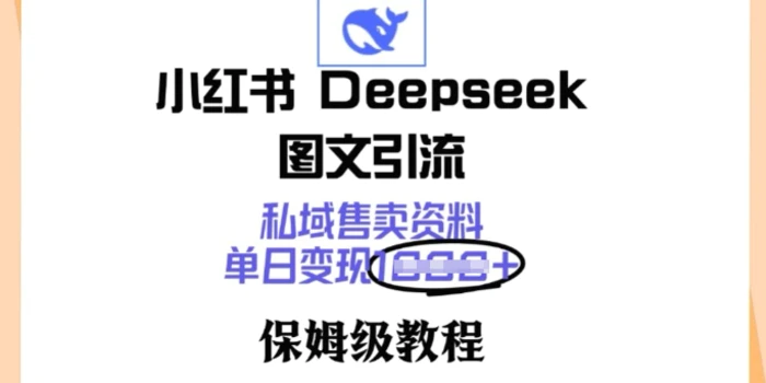 小红书Deepseek图文引流，私域售卖资料，单日变现多张，保姆级教程| 网创圈